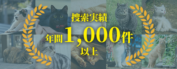 信頼の対応件数
