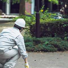 迷子ワンちゃんの捜索を開始