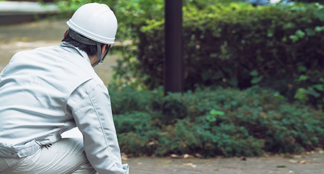 迷子ワンちゃんの捜索を開始