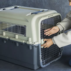 迷子ワンちゃんを無事に保護