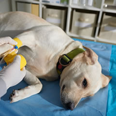 丁寧なアフターフォロー