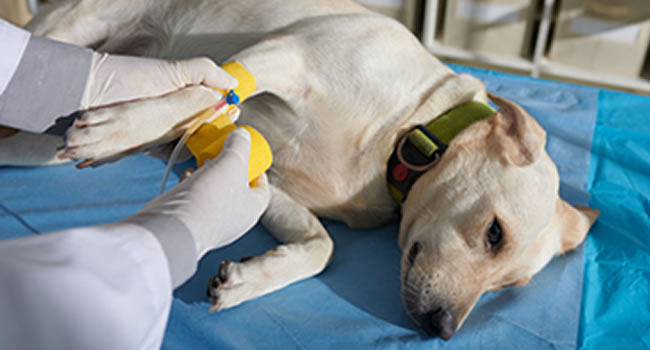 丁寧なアフターフォロー