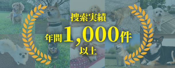 信頼の対応件数