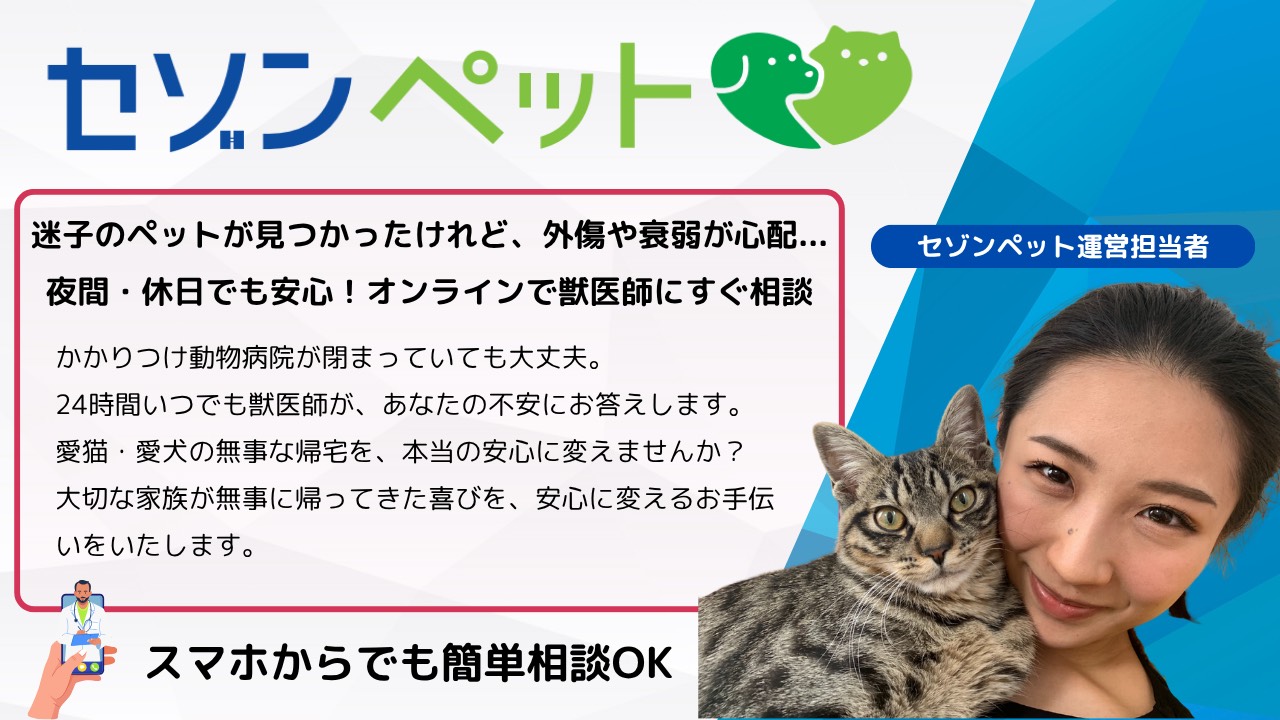 セゾンペット