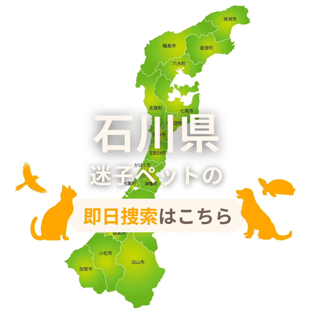 石川県 迷子ペットの即日捜索 ご利用ガイド