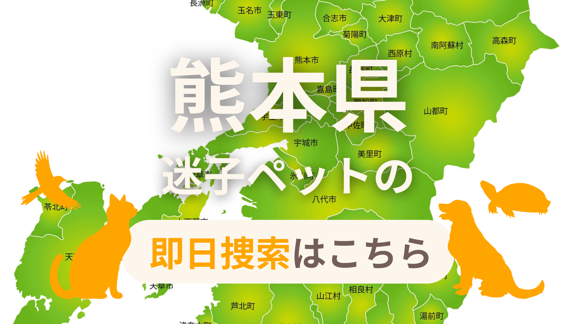 熊本県 迷子ペットの即日捜索 ご利用ガイド