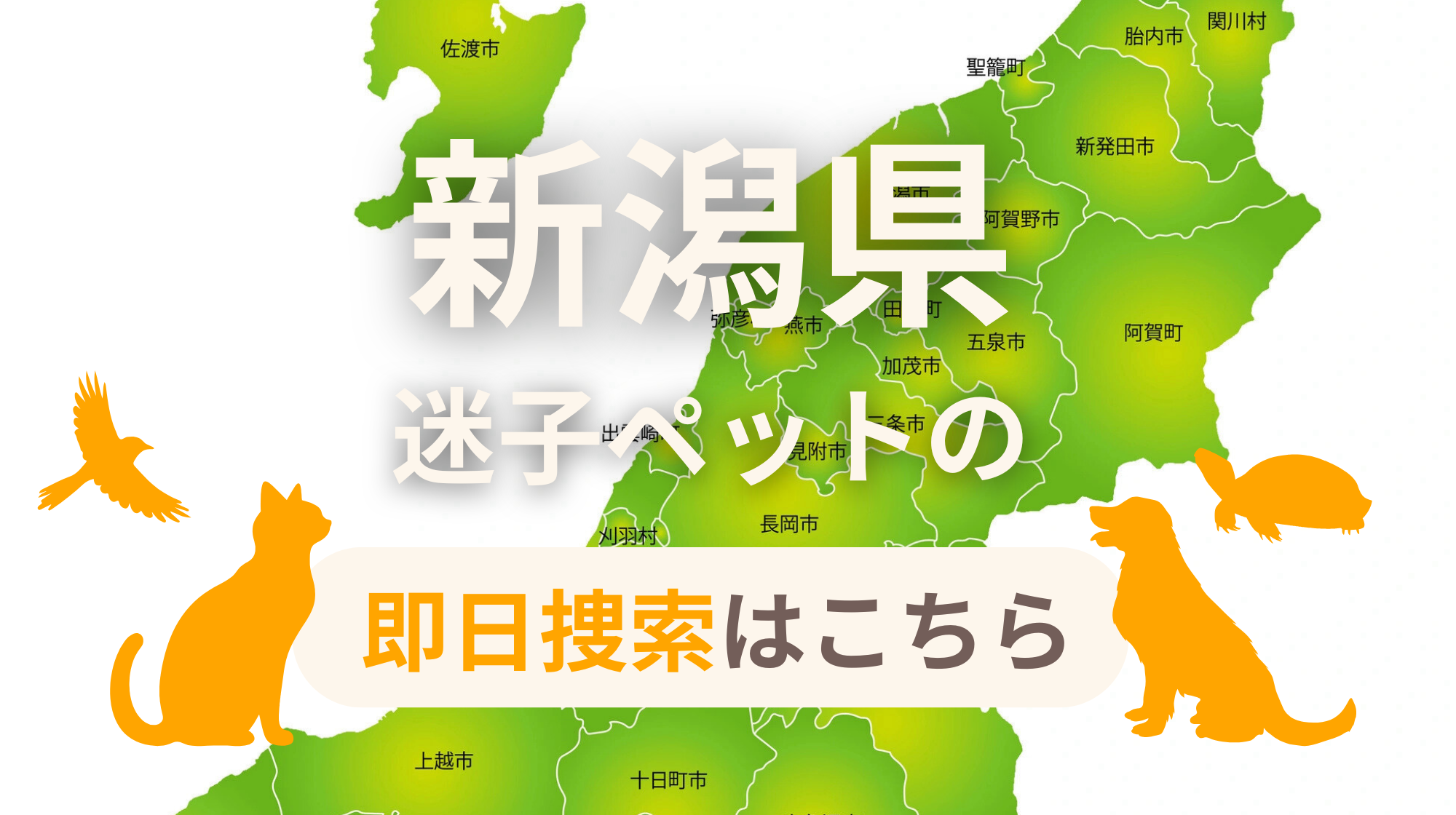 新潟県 迷子ペットの即日捜索 ご利用ガイド