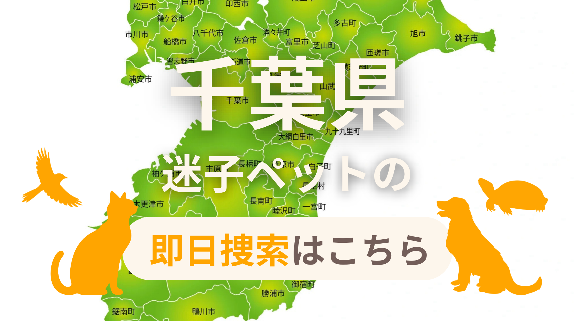 千葉県 迷子ペットの即日捜索 ご利用ガイド