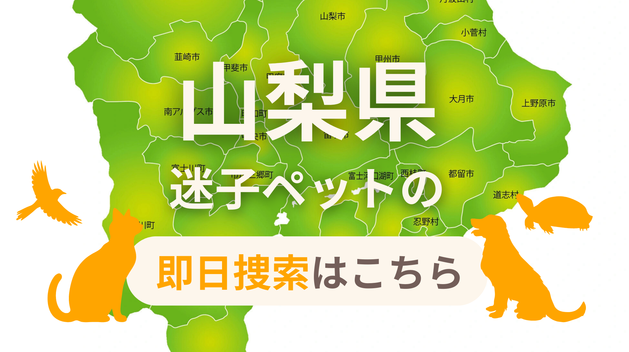 山梨県 迷子ペットの即日捜索 ご利用ガイド