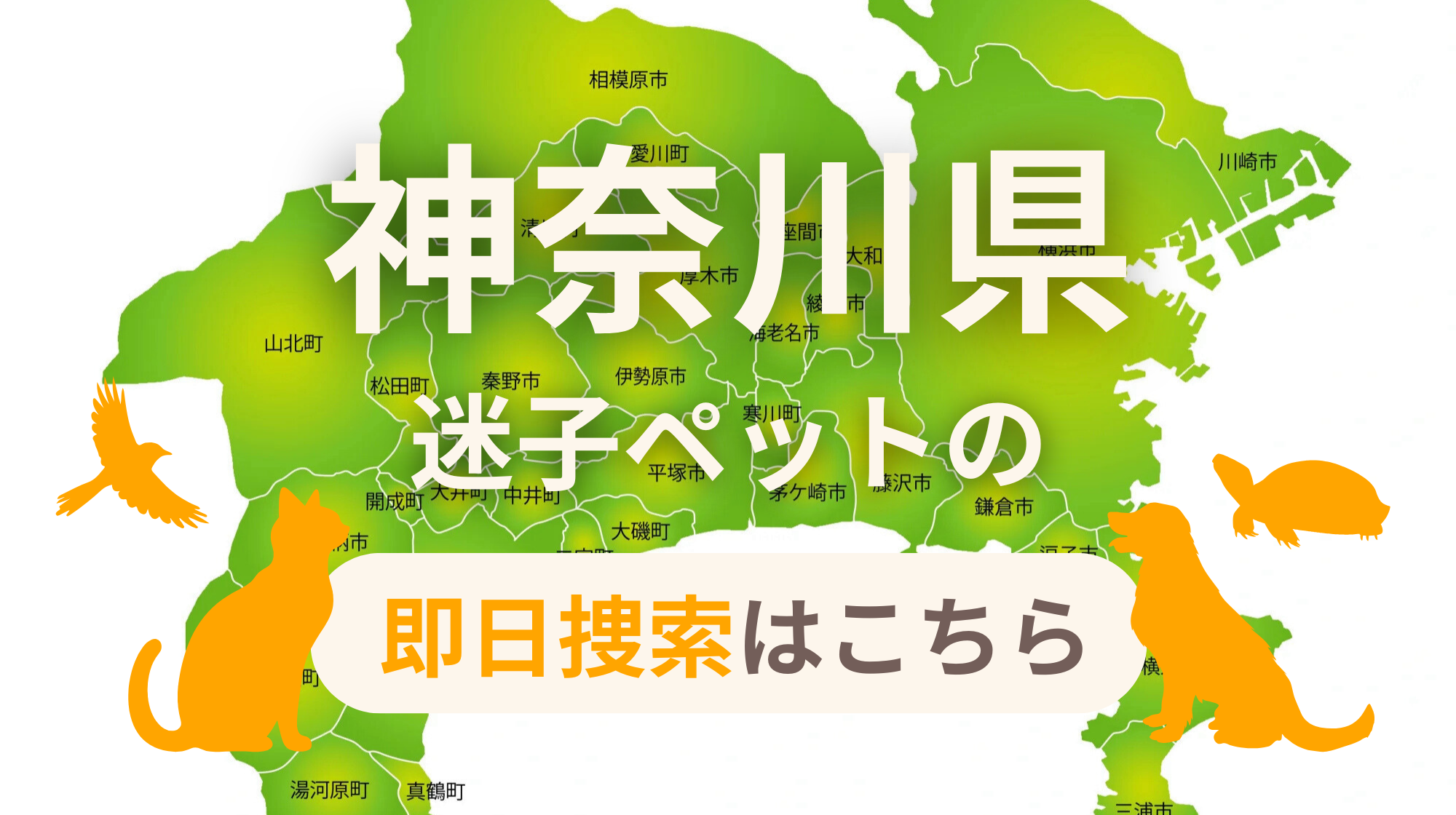 神奈川県 迷子ペットの即日捜索 ご利用ガイド
