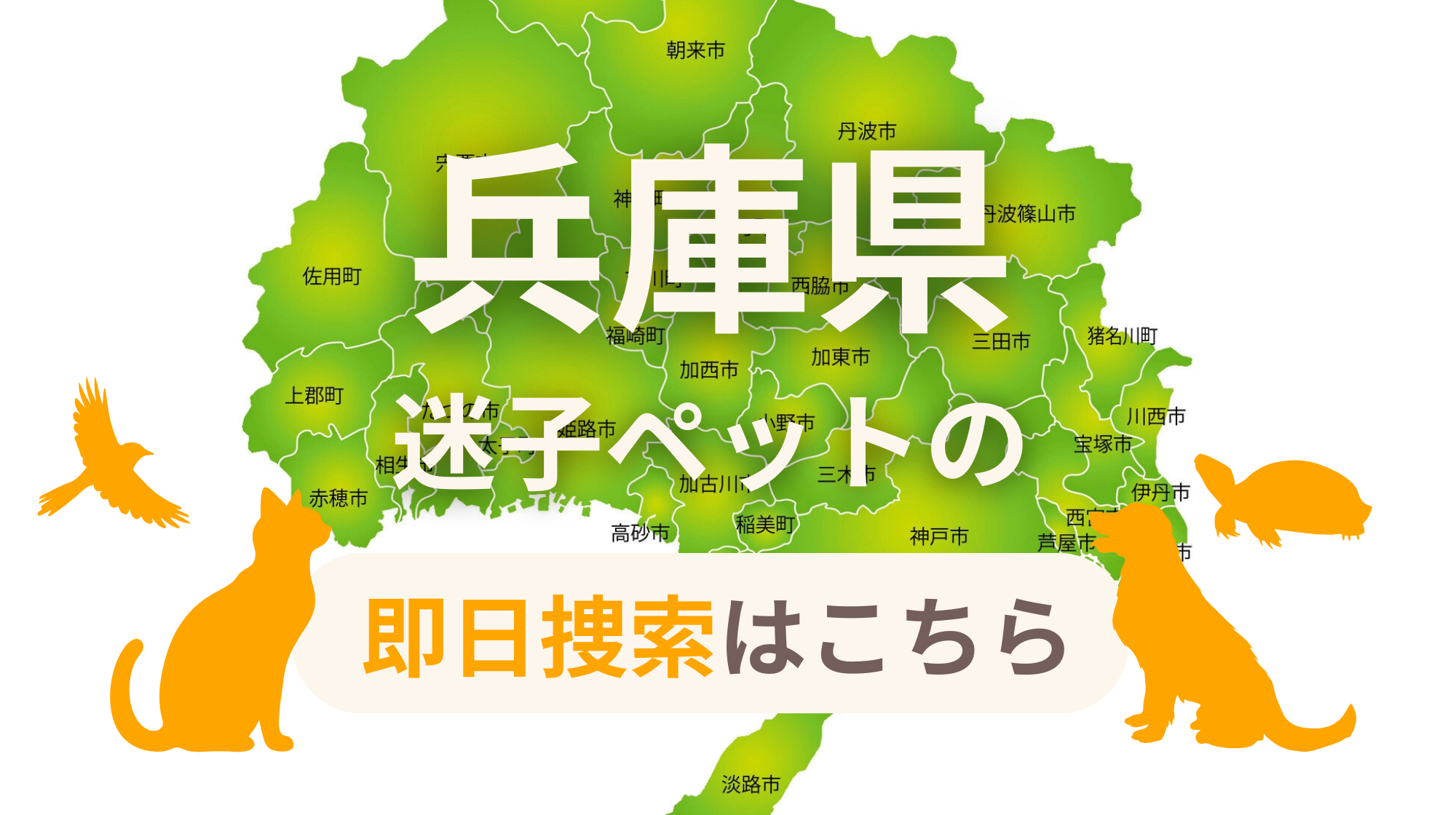 兵庫県 迷子ペットの即日捜索 ご利用ガイド