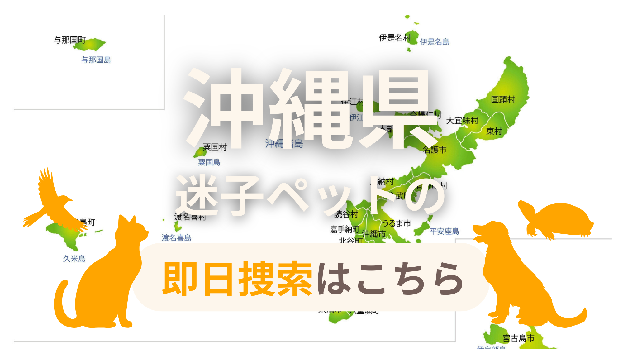 沖縄県 迷子ペットの即日捜索 ご利用ガイド