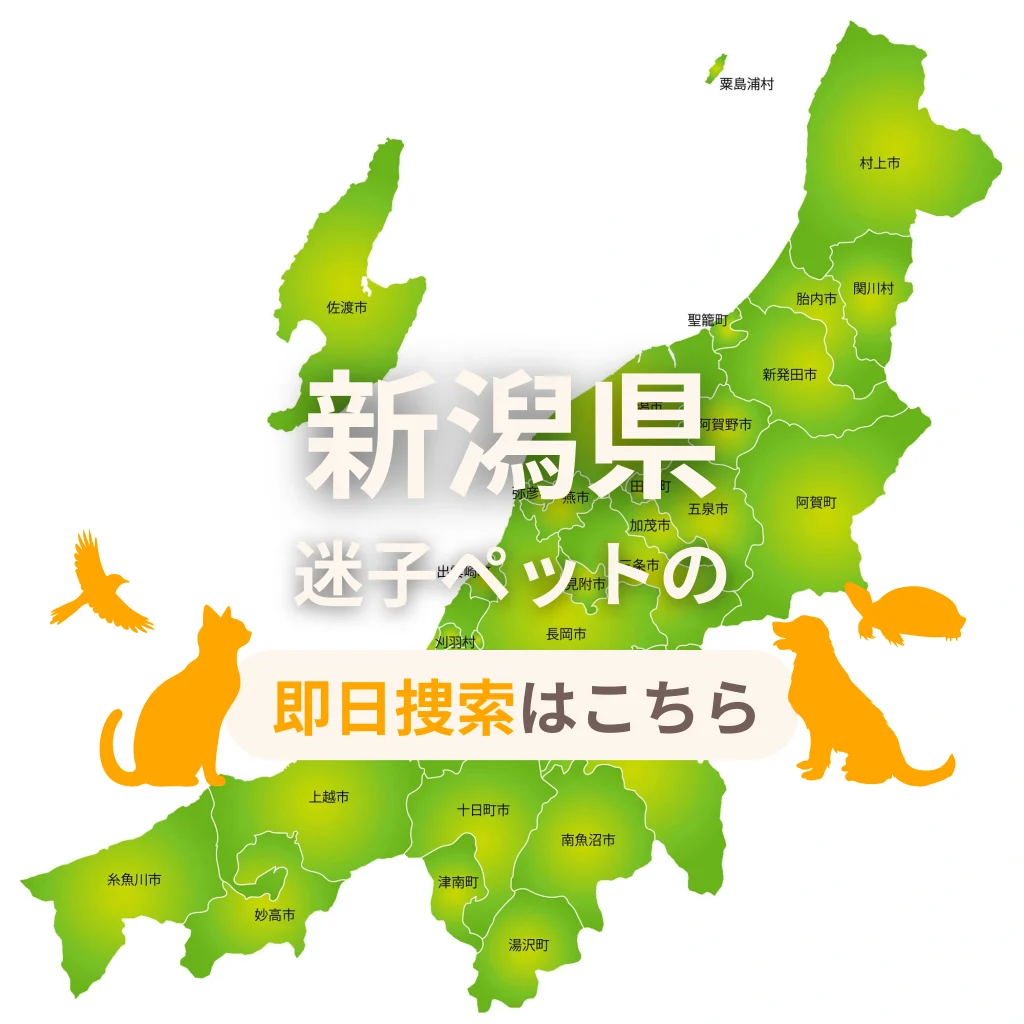 新潟県 迷子ペットの即日捜索 ご利用ガイド