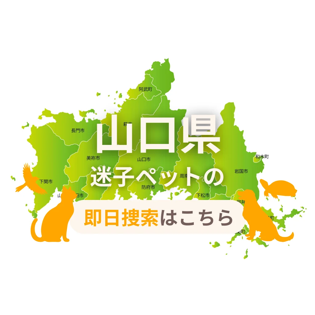 山口県 迷子ペットの即日捜索 ご利用ガイド