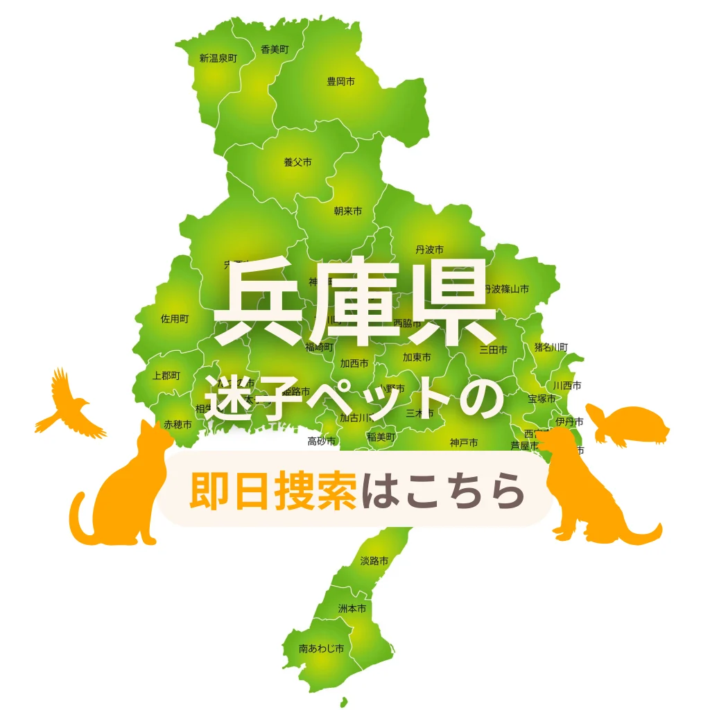 兵庫県 迷子ペットの即日捜索 ご利用ガイド