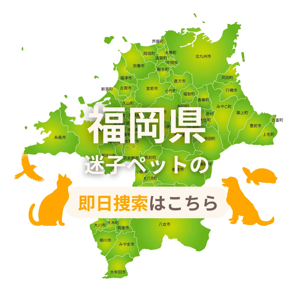 福岡県 迷子ペットの即日捜索 ご利用ガイド
