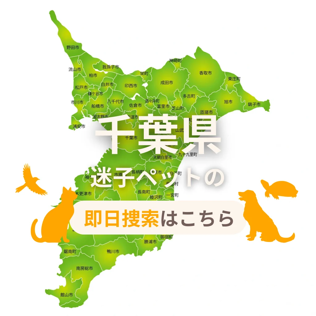 千葉県 迷子ペットの即日捜索 ご利用ガイド