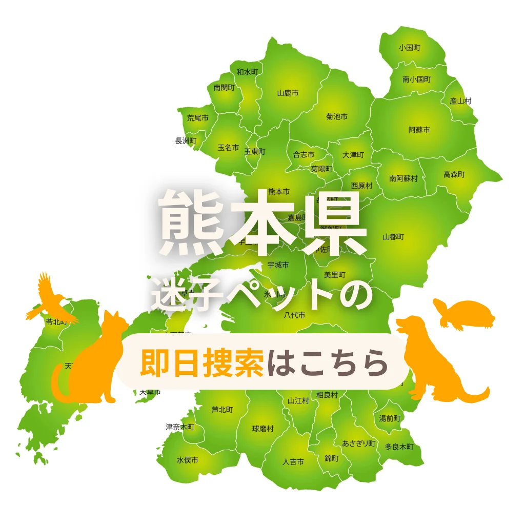 熊本県 迷子ペットの即日捜索 ご利用ガイド