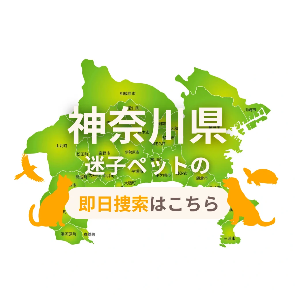 神奈川県 迷子ペットの即日捜索 ご利用ガイド