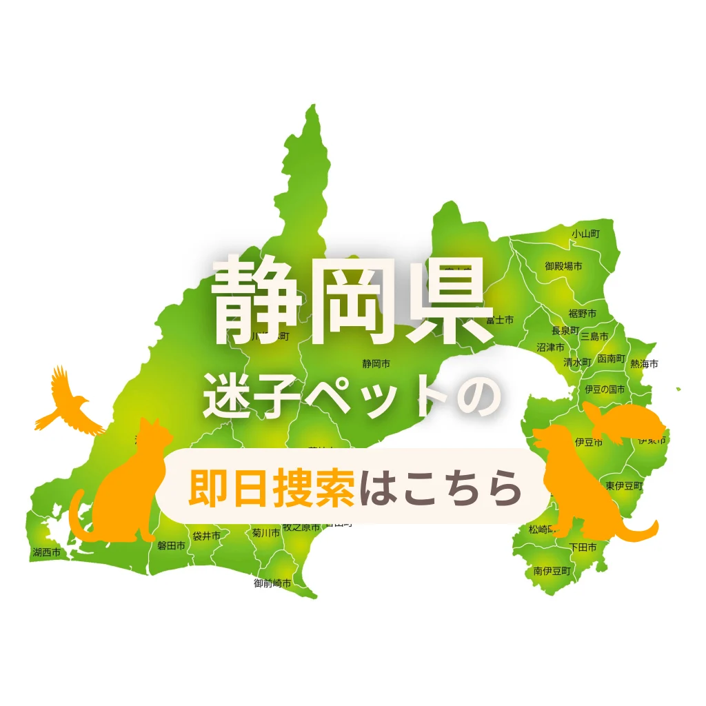 静岡県 迷子ペットの即日捜索 ご利用ガイド