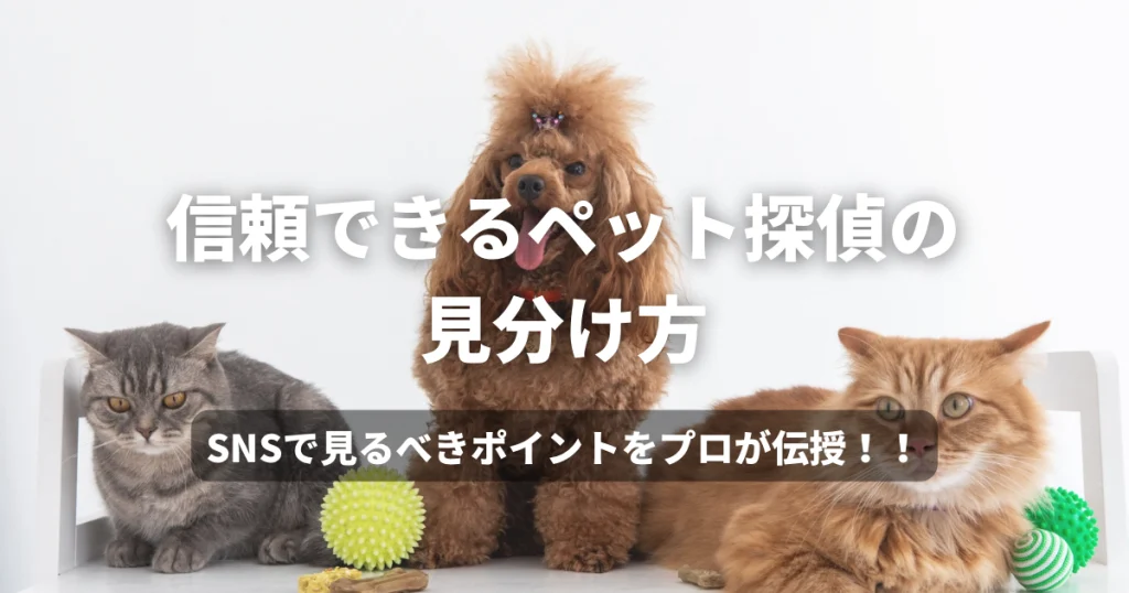 信頼できるペット探偵の見分け方|SNSで見るべきポイントをプロが伝授!!