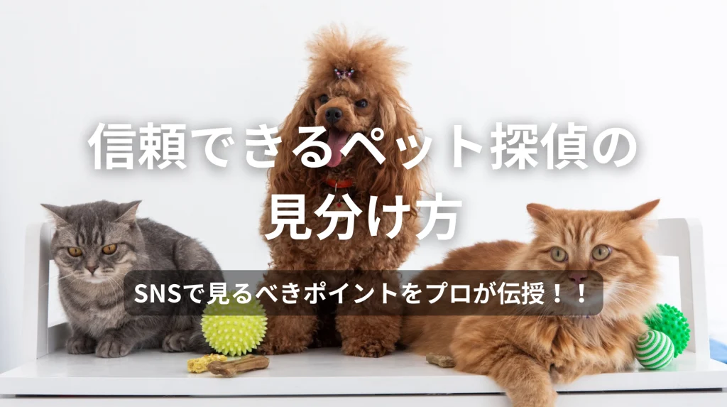 信頼できるペット探偵の見分け方|SNSで見るべきポイントをプロが伝授!!