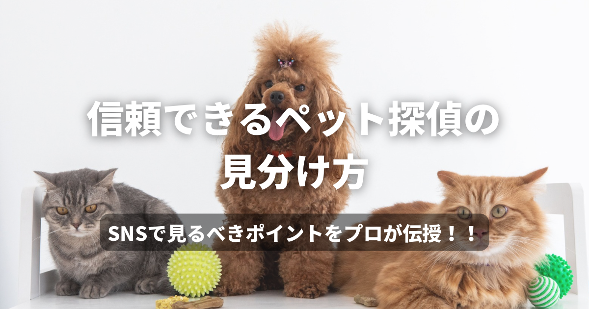 信頼できるペット探偵の見分け方｜SNSで見るべきポイントをプロが伝授！！