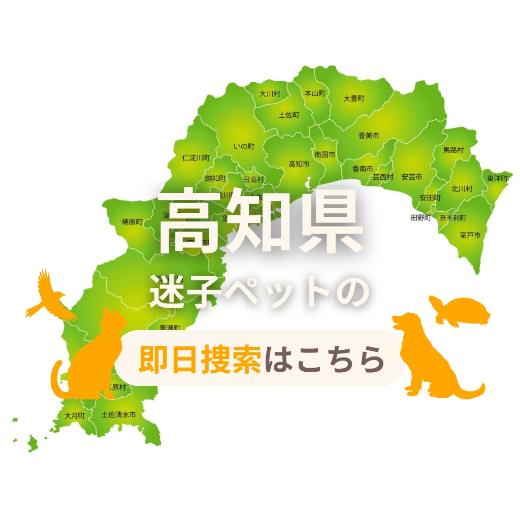 高知県 迷子ペットの即日捜索 ご利用ガイド