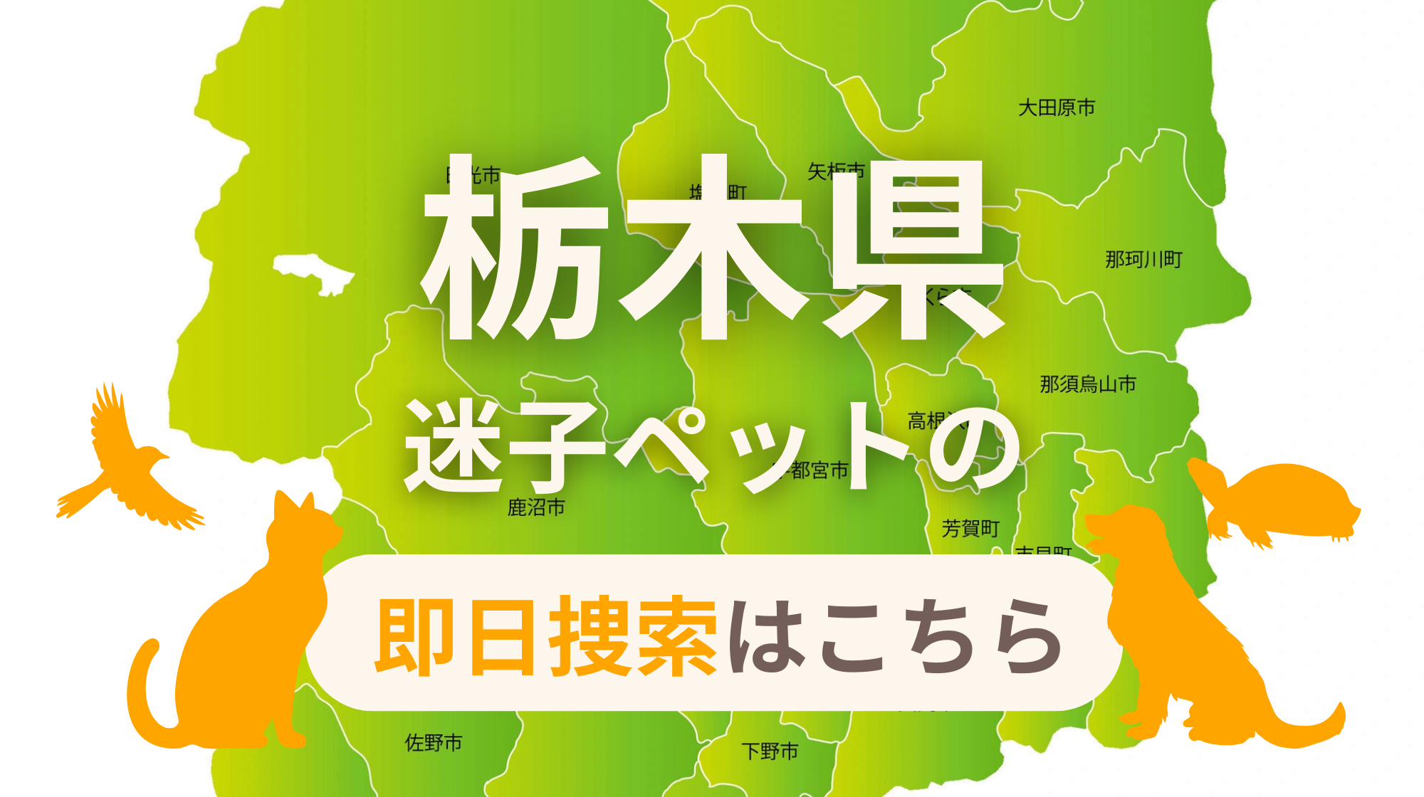 栃木県 迷子ペットの即日捜索 ご利用ガイド