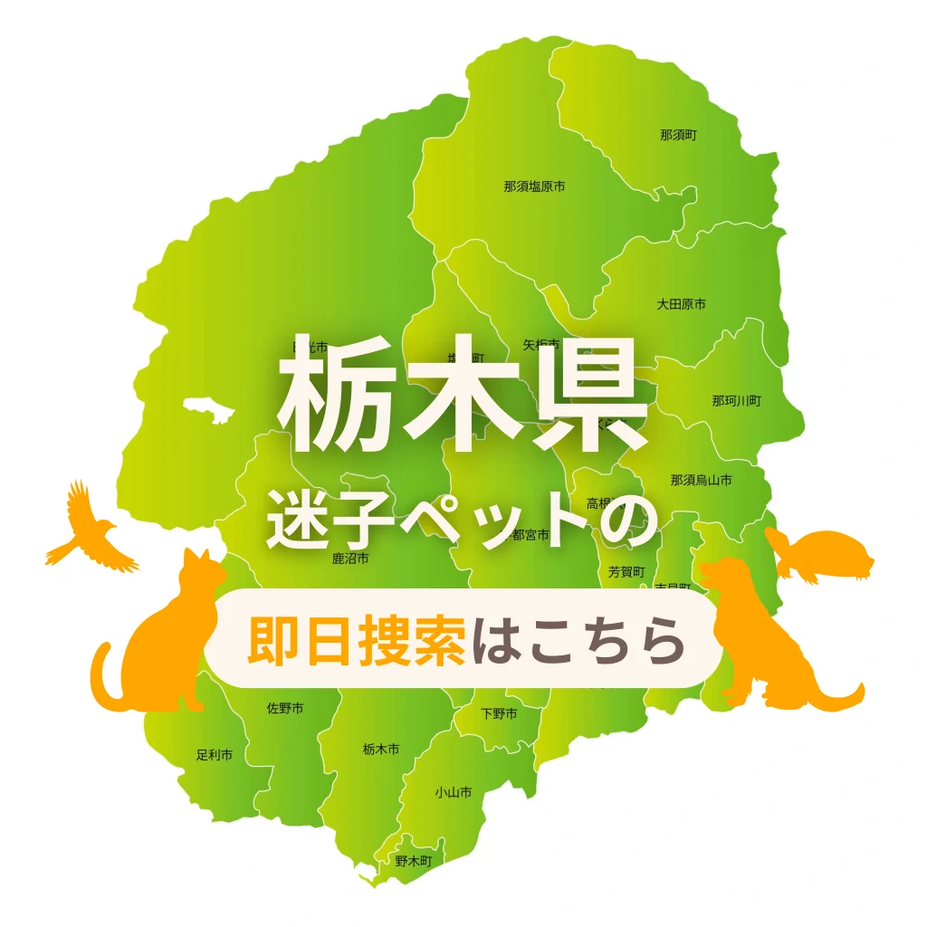 栃木県 迷子ペットの即日捜索 ご利用ガイド