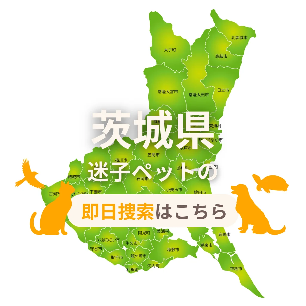茨城県 迷子ペットの即日捜索 ご利用ガイド