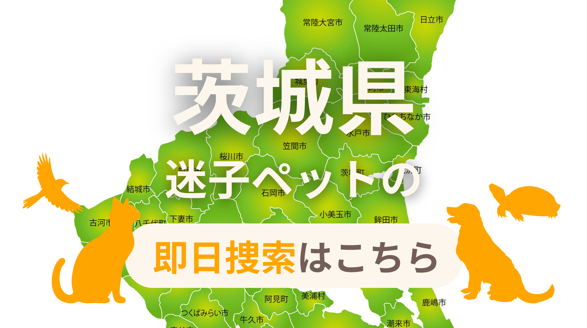 茨城県 迷子ペットの即日捜索 ご利用ガイド