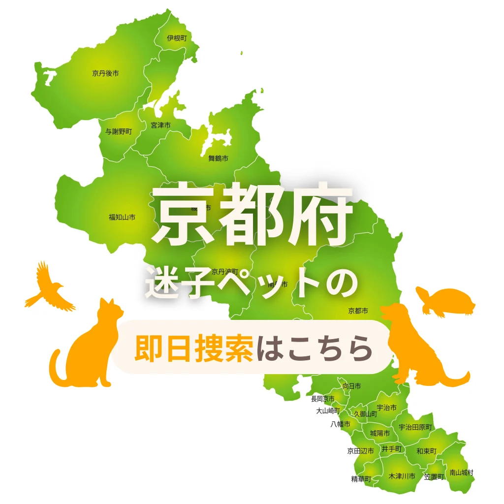京都府 迷子ペットの即日捜索 ご利用ガイド