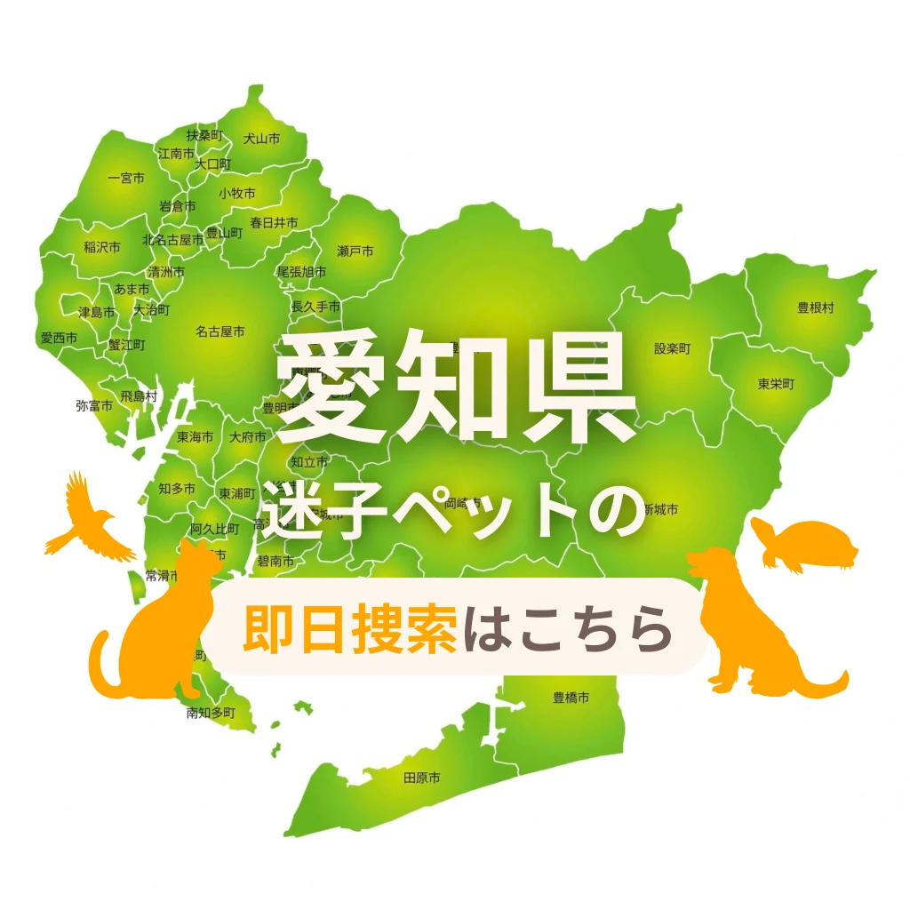 愛知県 迷子ペットの即日捜索 ご利用ガイド