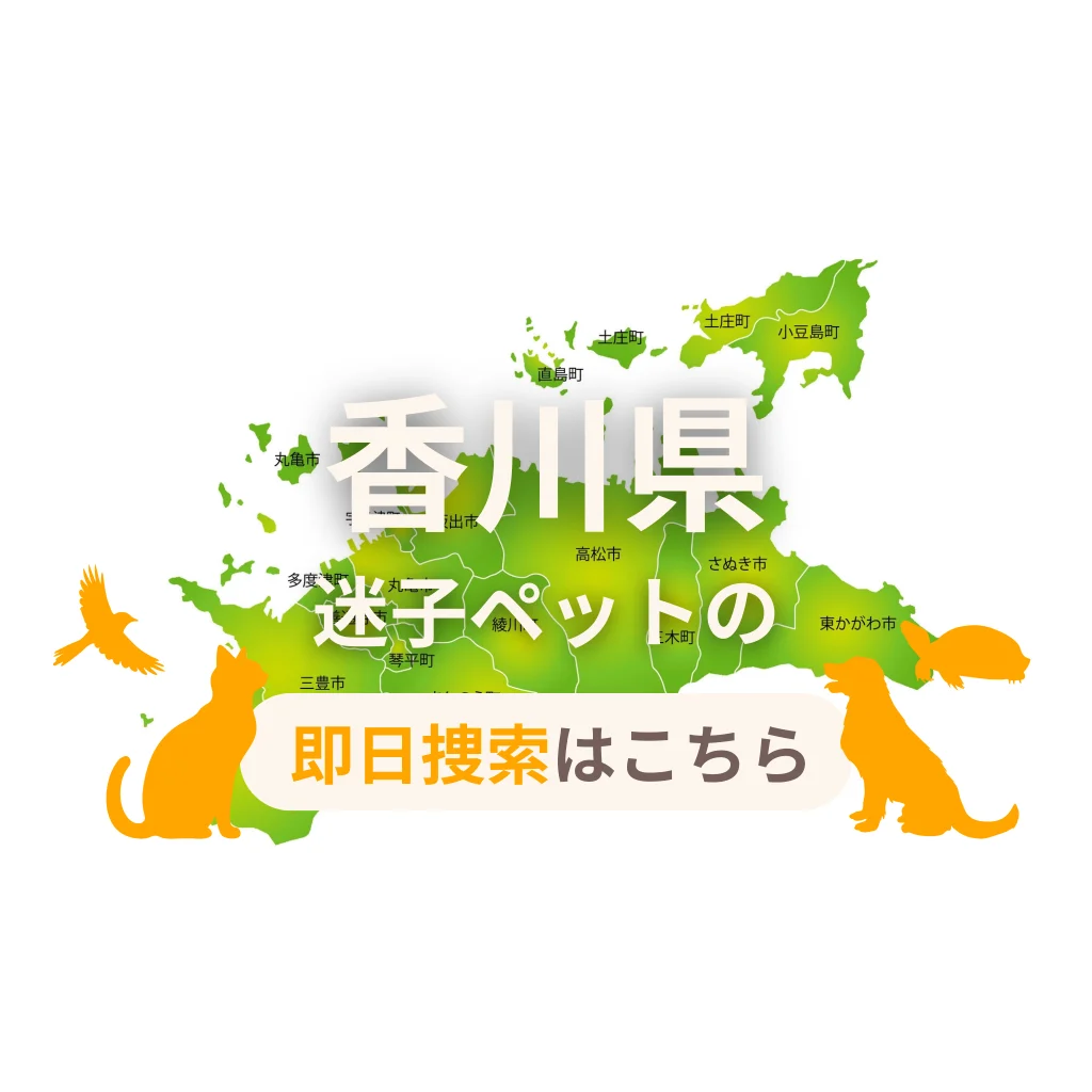 香川県 迷子ペットの即日捜索 ご利用ガイド