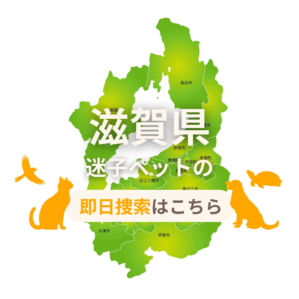 滋賀県 迷子ペットの即日捜索 ご利用ガイド