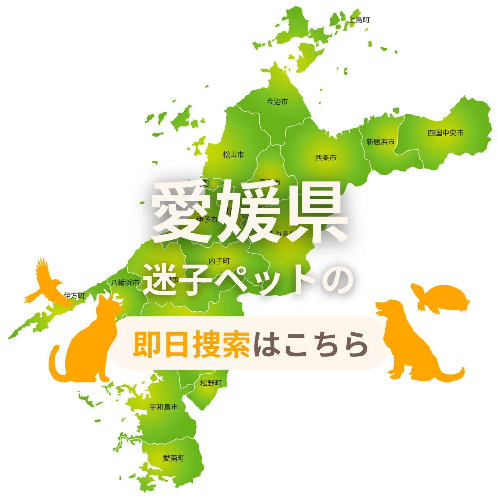 愛媛県 迷子ペットの即日捜索 ご利用ガイド