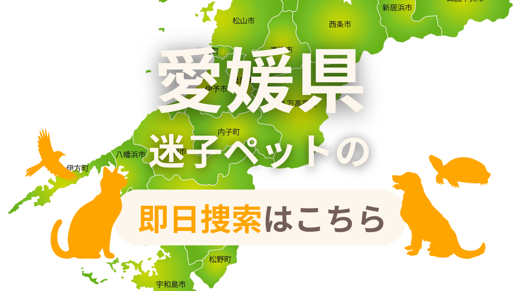 愛媛県 迷子ペットの即日捜索 ご利用ガイド