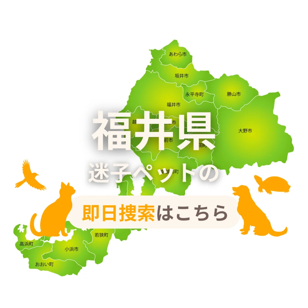 福井県 迷子ペットの即日捜索 ご利用ガイド
