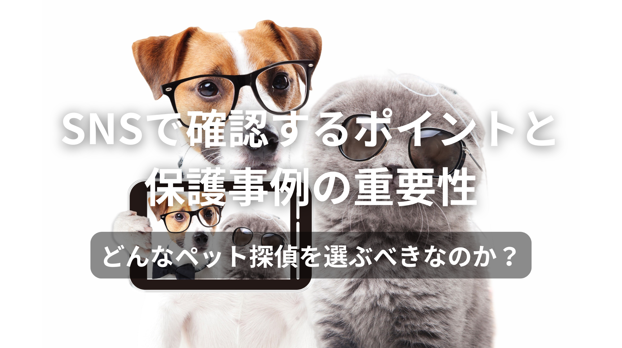 信頼できるペット探偵の選び方｜SNSで確認すべきポイントと事例の重要性