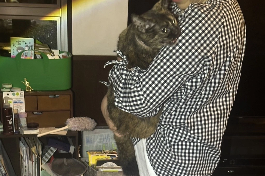 【迷子猫】愛知県名古屋市のキナコちゃんを無事に保護！ペット探偵による事例をご紹介