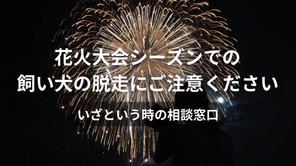 花火大会シーズンでの犬の脱走にご注意ください|いざという時の相談窓口