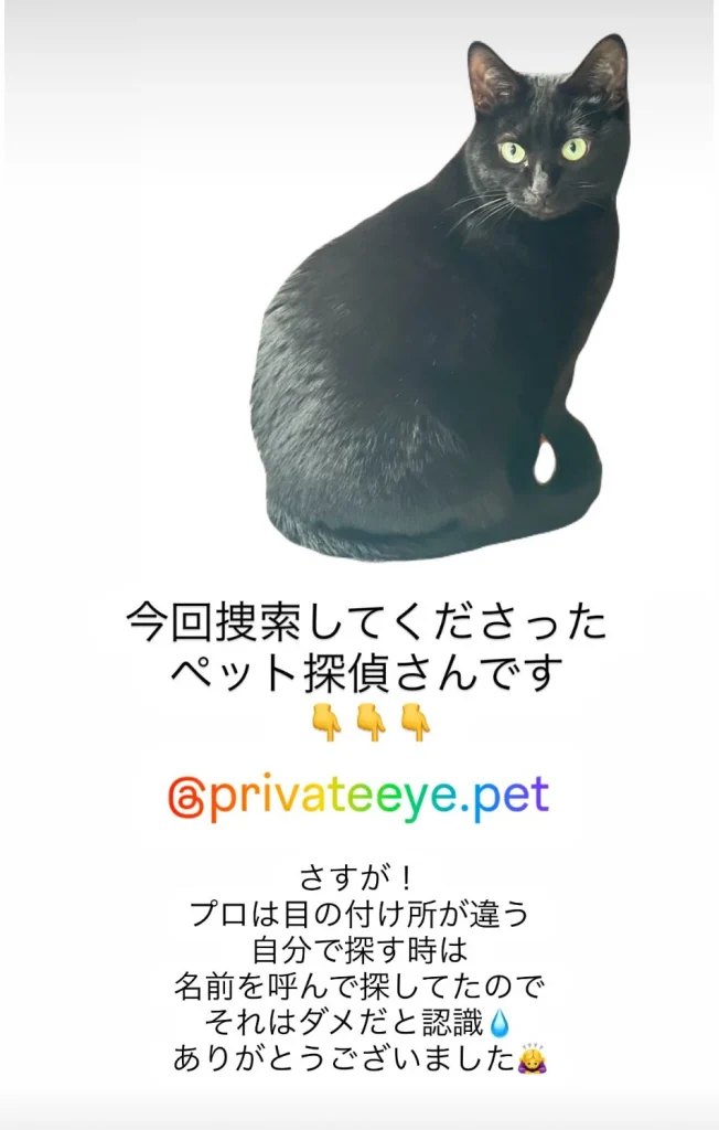 SNSでの喜びの声