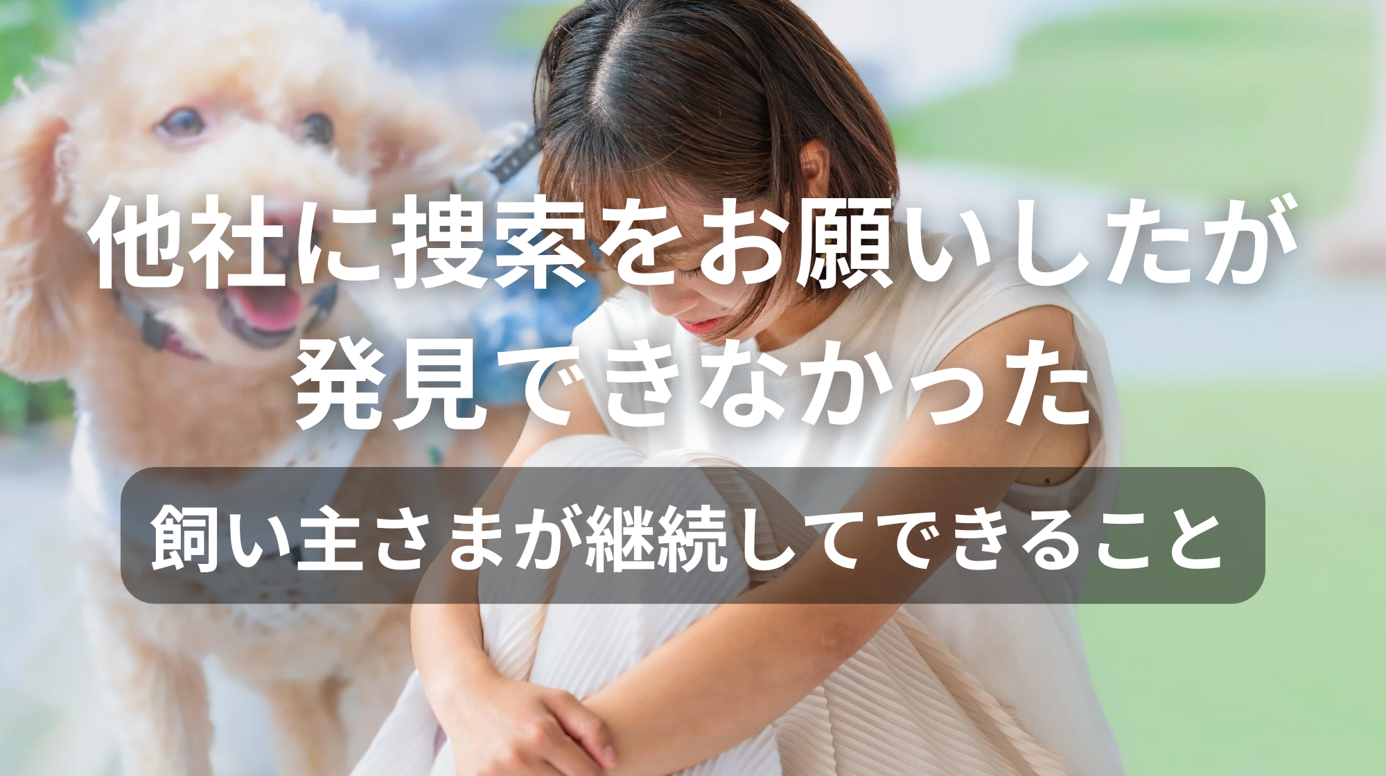 他社に捜索をお願いしたが発見できなかった｜飼い主さまが継続してできること