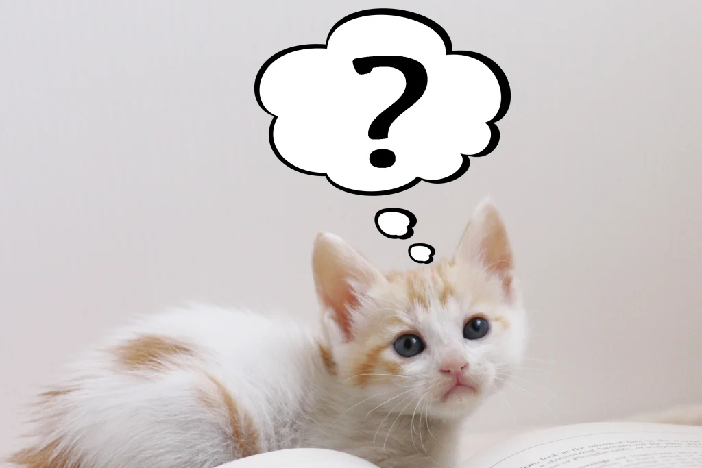 よくあるご質問