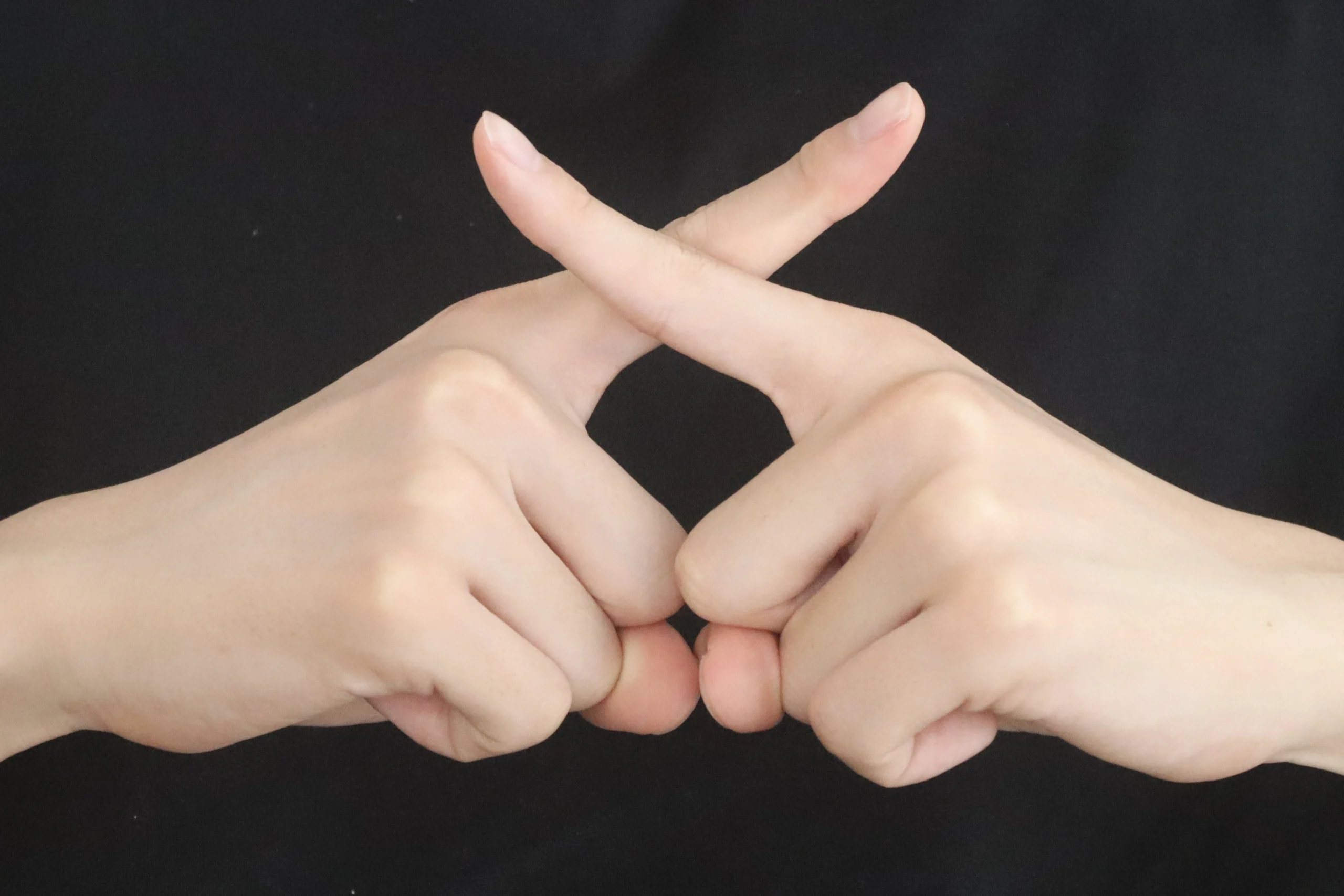 間違った迷子ペットの捜索方法