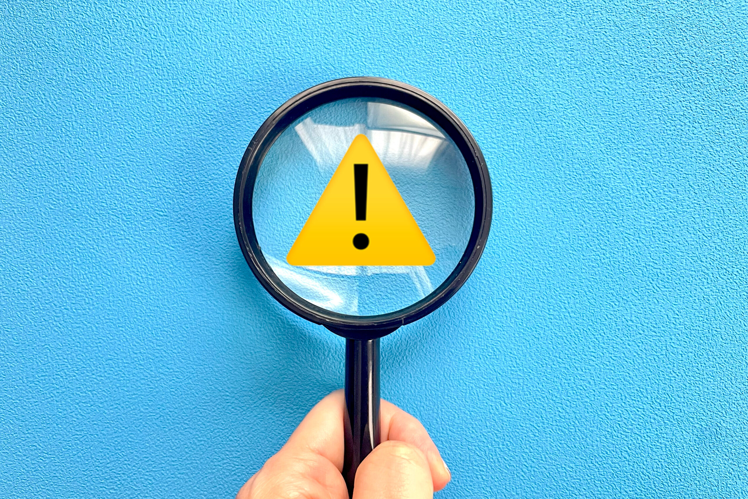 迷子ペットが直面するリスク