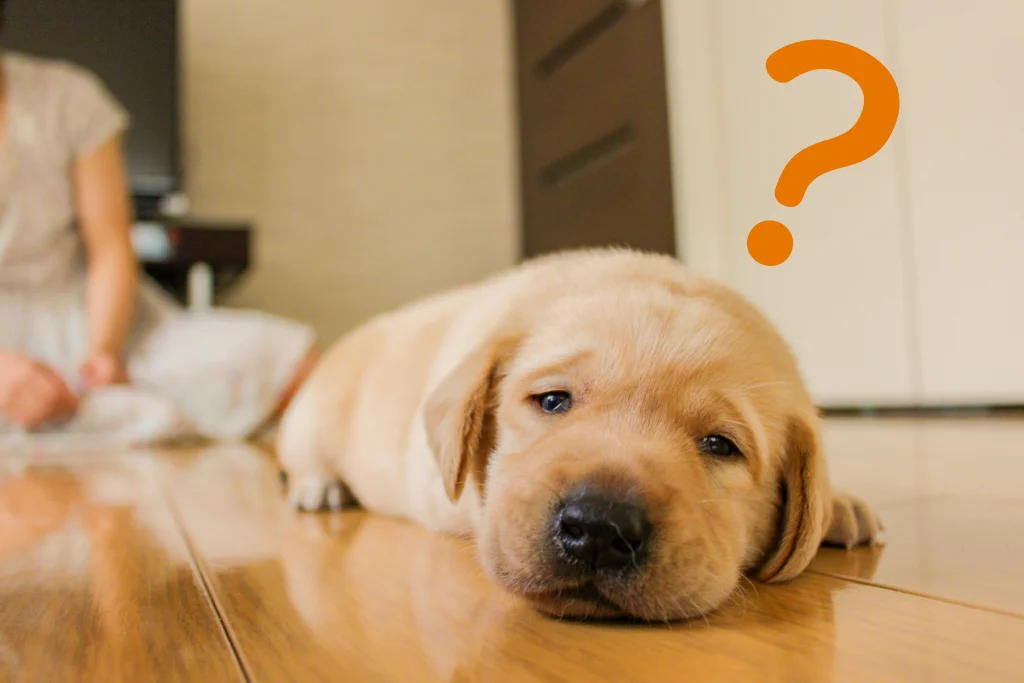 よくあるご質問