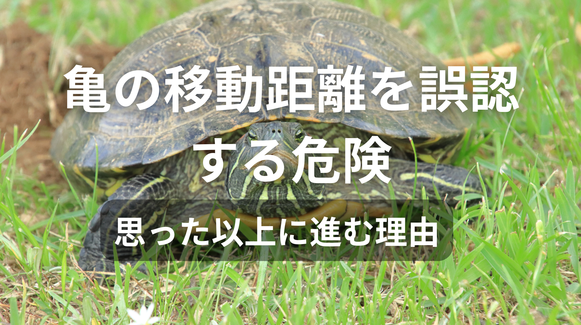 思った以上に進む理由