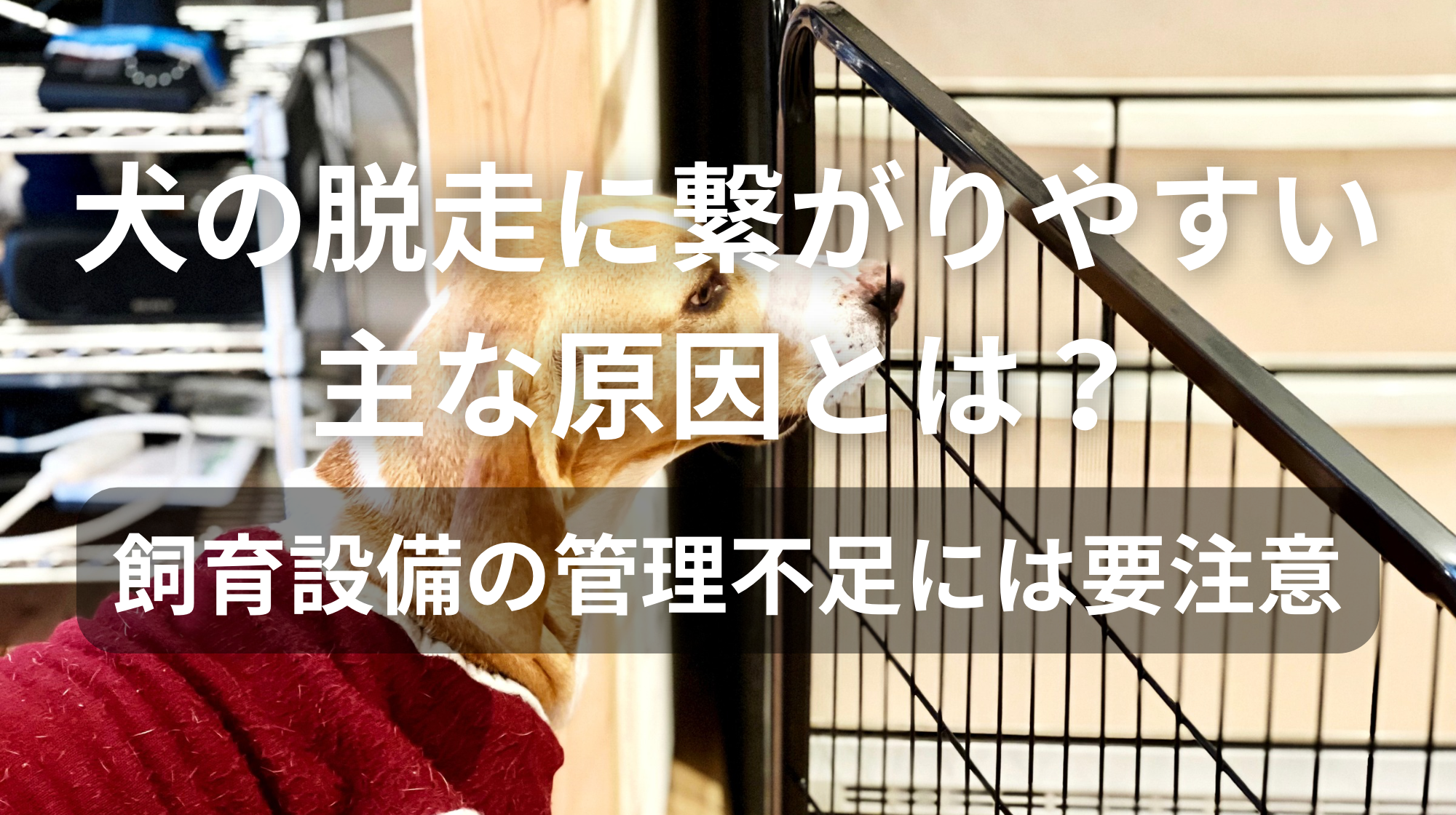脱走に繋がりやすい主な原因とは？｜飼育設備の管理不足には要注意